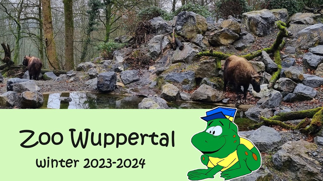 Zoo Wuppertal, Winter 2023-2024