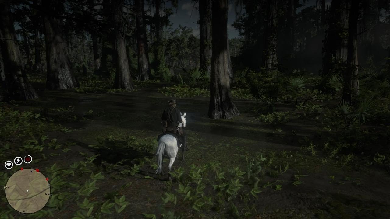 Red Dead Redemption 2_20260213000241