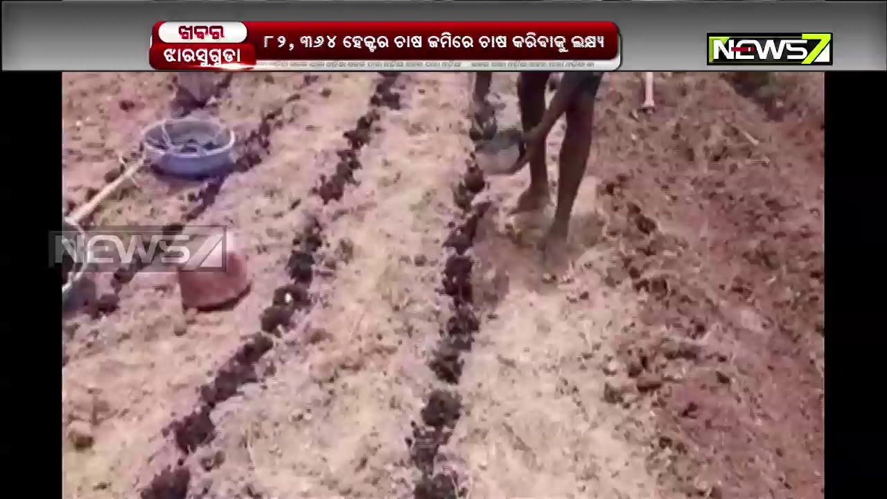 Jharsuguda Dist Received Favorable Rainfall For Farming