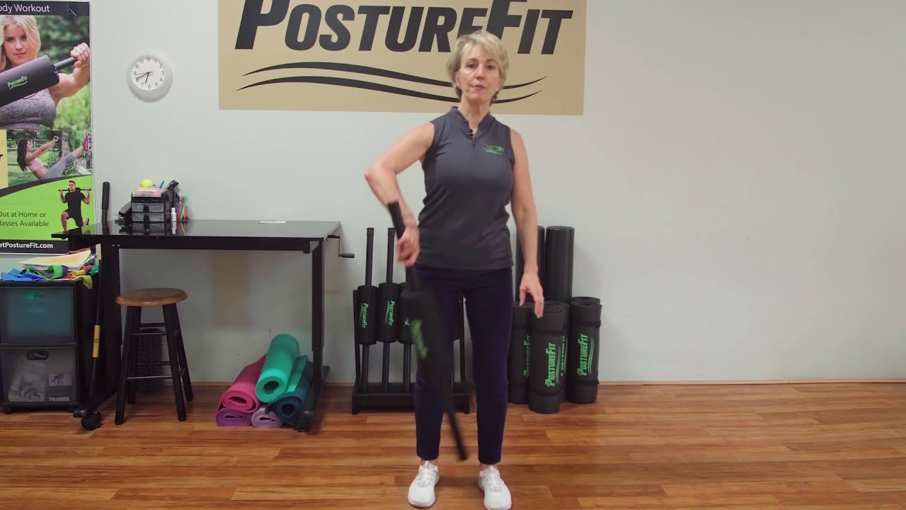 PostureFit Daily Spinal Maintenance