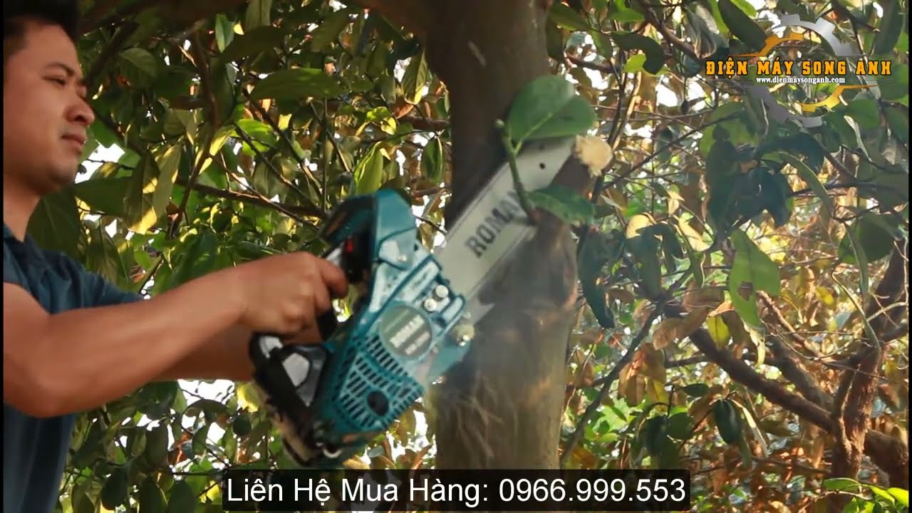 [Review] Cưa xăng mini chuyên gội cây, cắt cành trên cao, cưa tay cụt, tỉa cành siêu khỏe