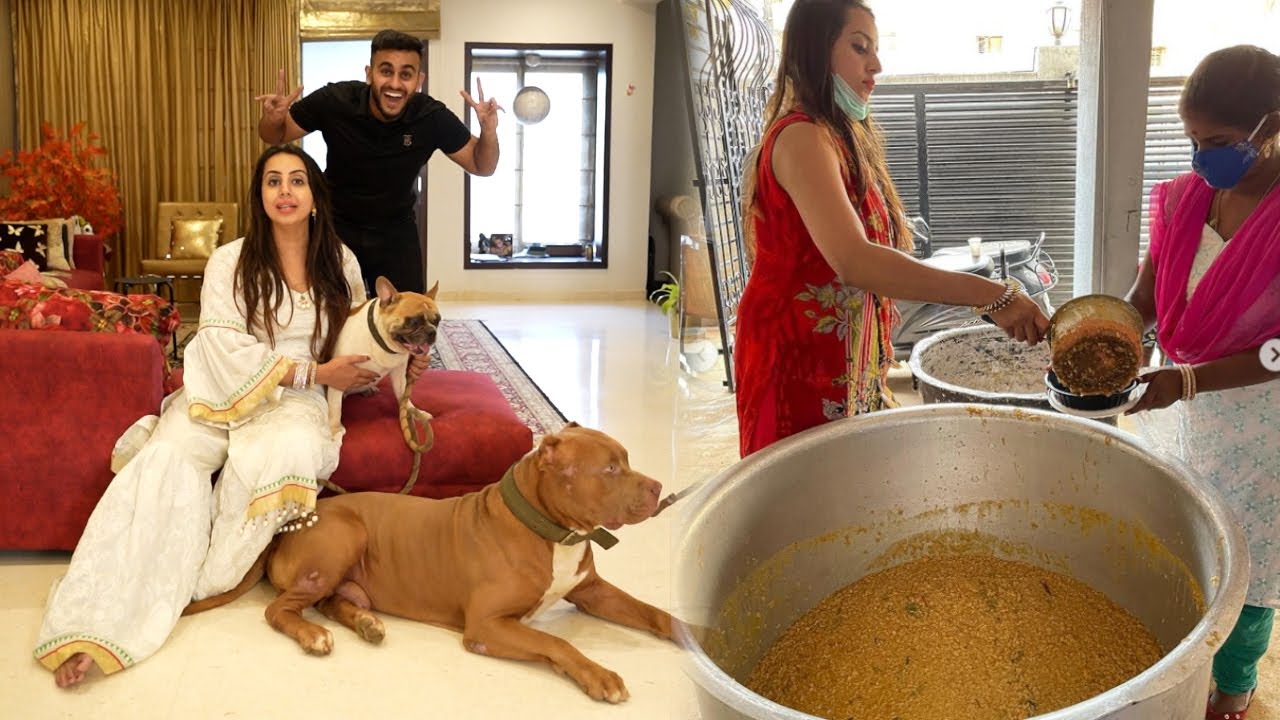 One of The Biggest Pitbull at @sanjjanaagalraniofficial  House 😍😱