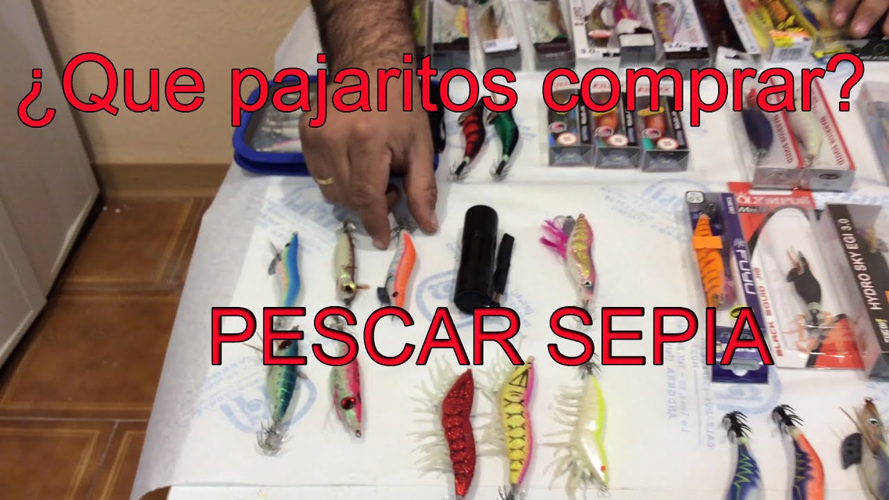 Iniciación eging, consejos y trucos básicos sobre  pajaritos o jibioneras para pescar la sepia