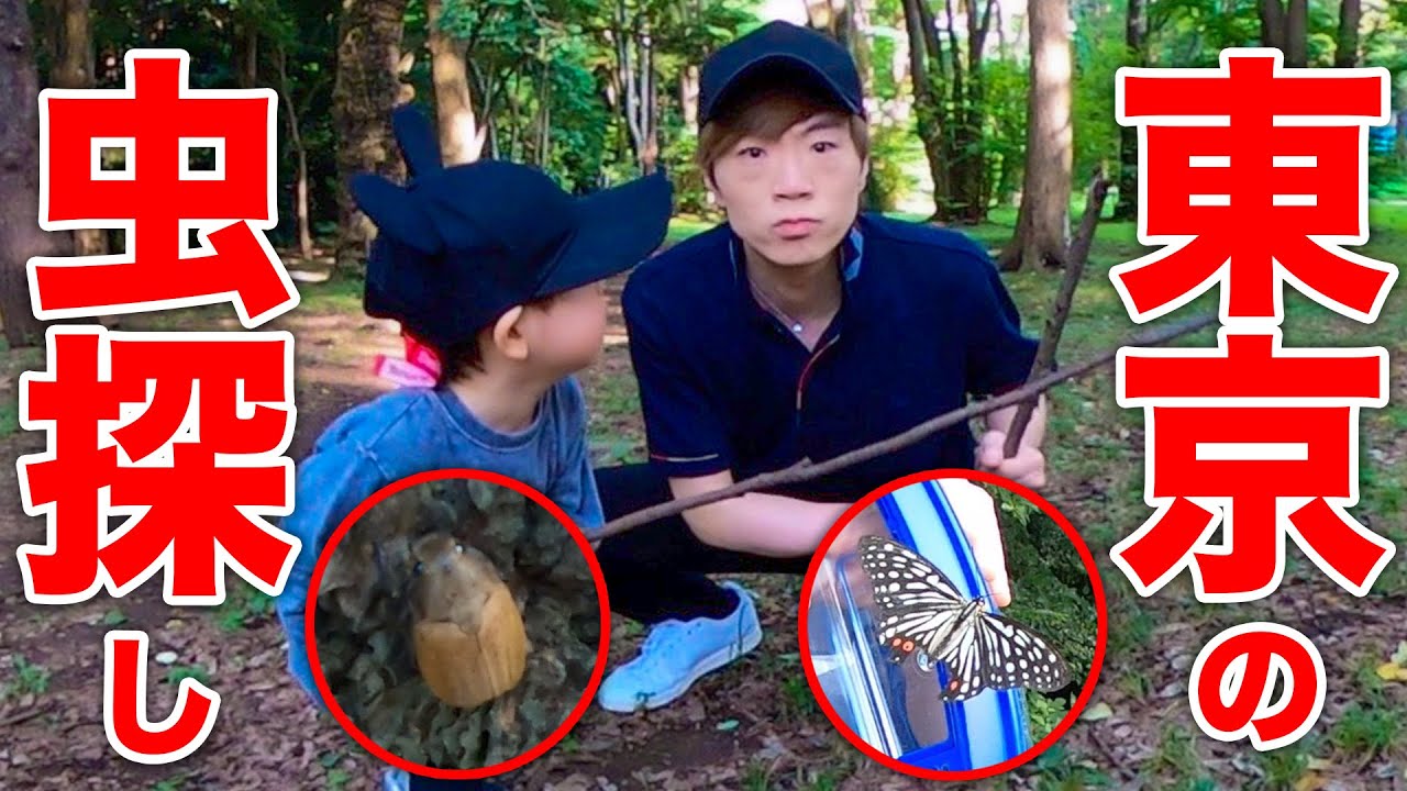 セイキン一家で東京の虫&魚探し