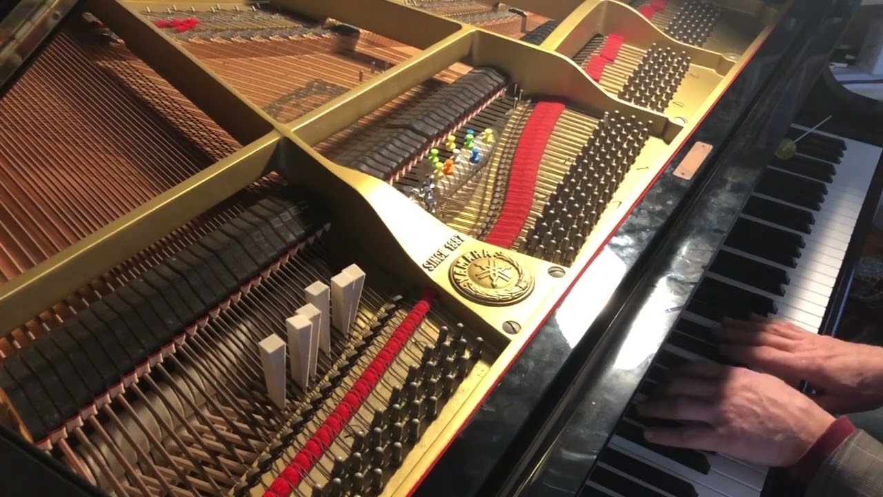 Albert van Veenendaal POM Good Virus Sessions 61