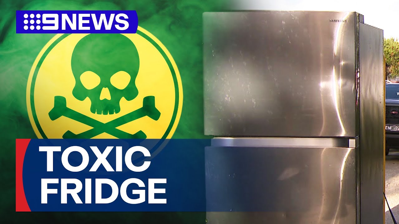Fridge turns toxic, threatening Melbourne family’s health | 9 News Australia