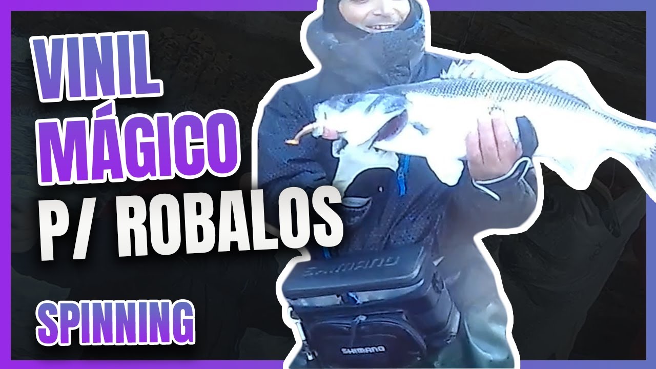 ✅ Vinil Magico 🎣