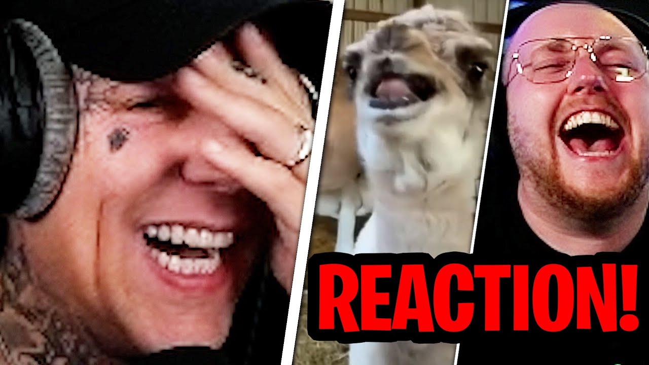 WER GRINST VERLIERT 50€😂😬 NICHT Lachen Challenge mit @zarbex | MontanaBlack Reaktion