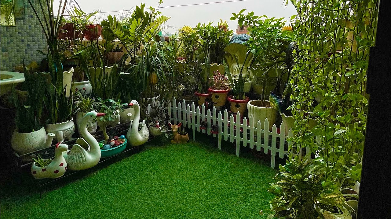 small garden tour #gardeningplants #viral #terracegardenindia 