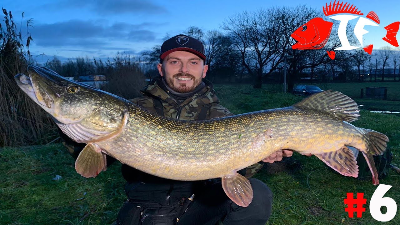 Angeln in Holland der XXL Hecht beim Poldern - Das Köderduell #6 - INSIDER FISHING