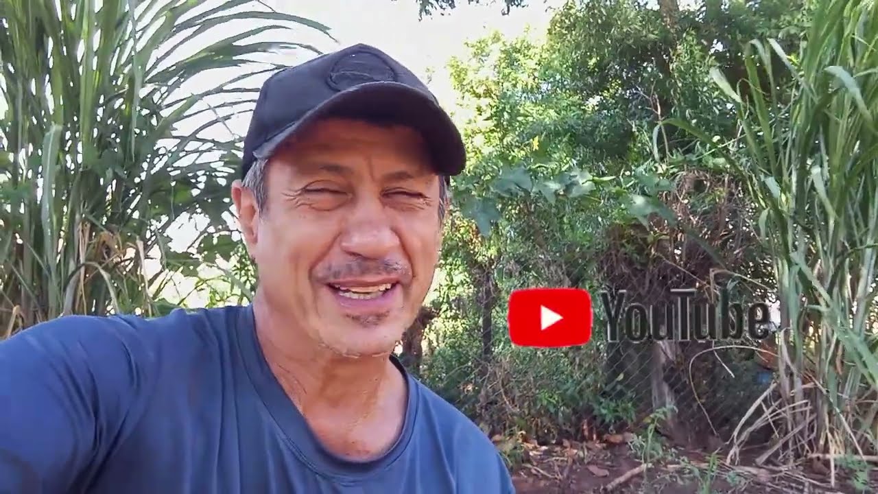 TAVA MUITO QUENTE + PASSEI MAL NA CAPINA + VEJA ATÉ O FIM 