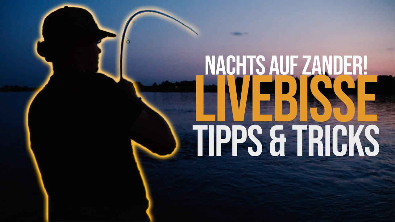 Zanderangeln im Sommer  - Nachts mit Wobbler auf Zander - LIVEBISSE, TIPPS & TRICKS