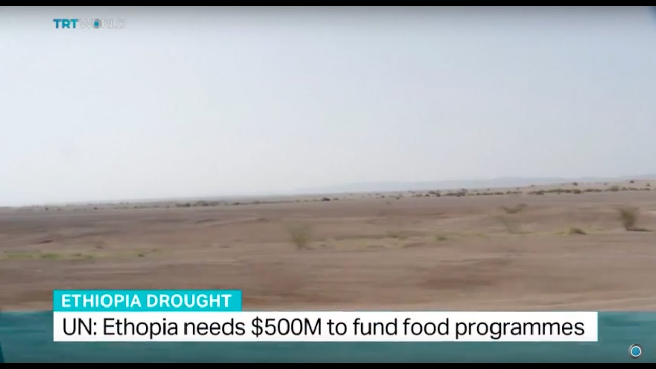 UN: Ethiopia needs $500M to fund food programmes