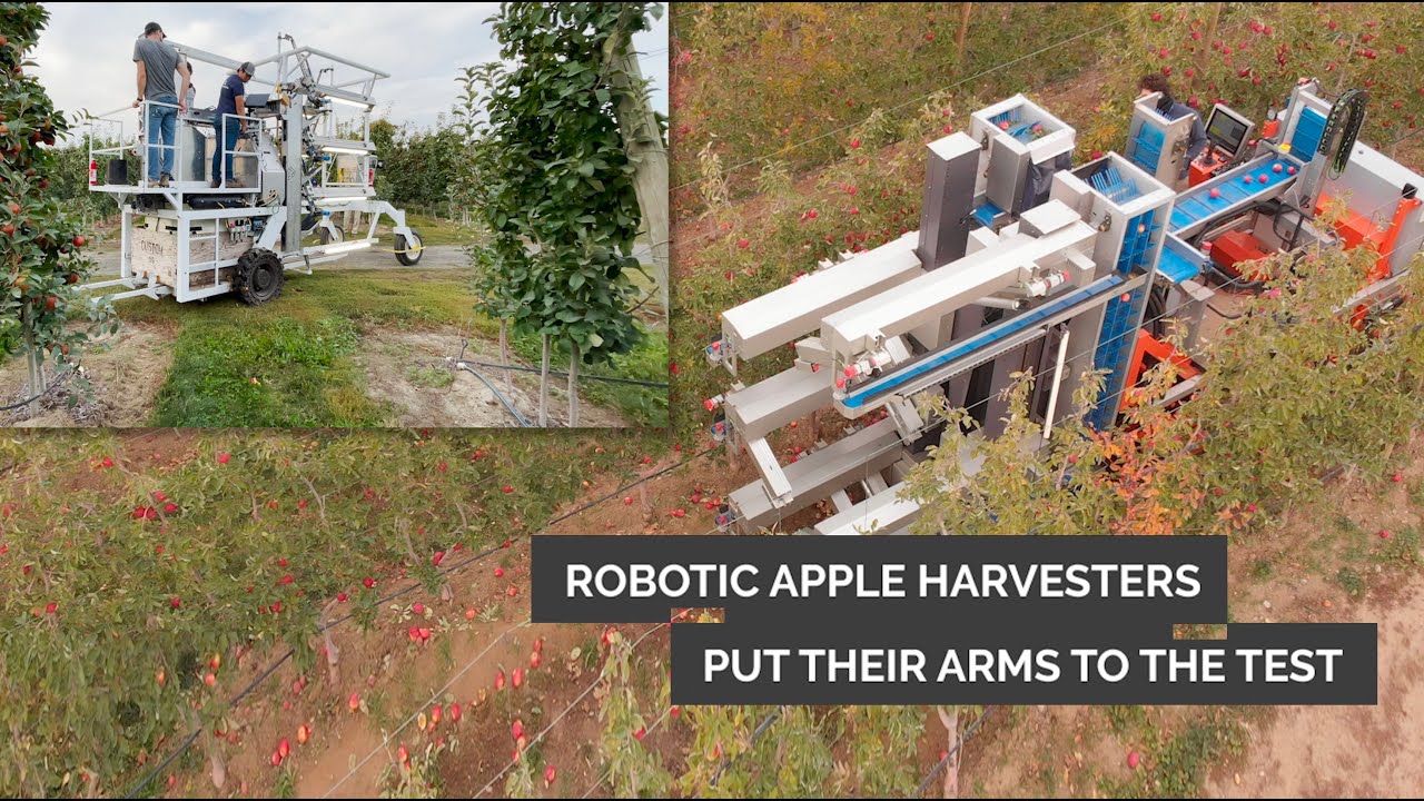 New robotic apple harvesters enter field trials and commercial work