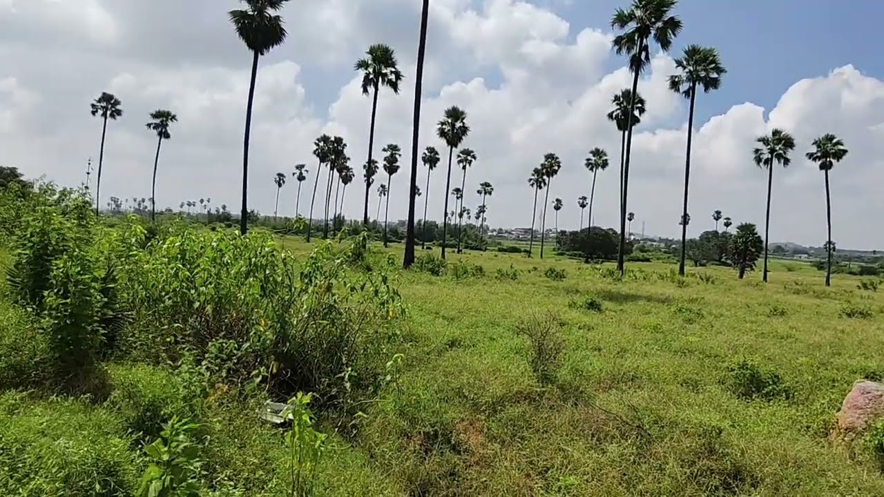 18 Acres Open Land for Sale | Arutla Village Ibrahimpatnam | RRR area | Hyderabad.