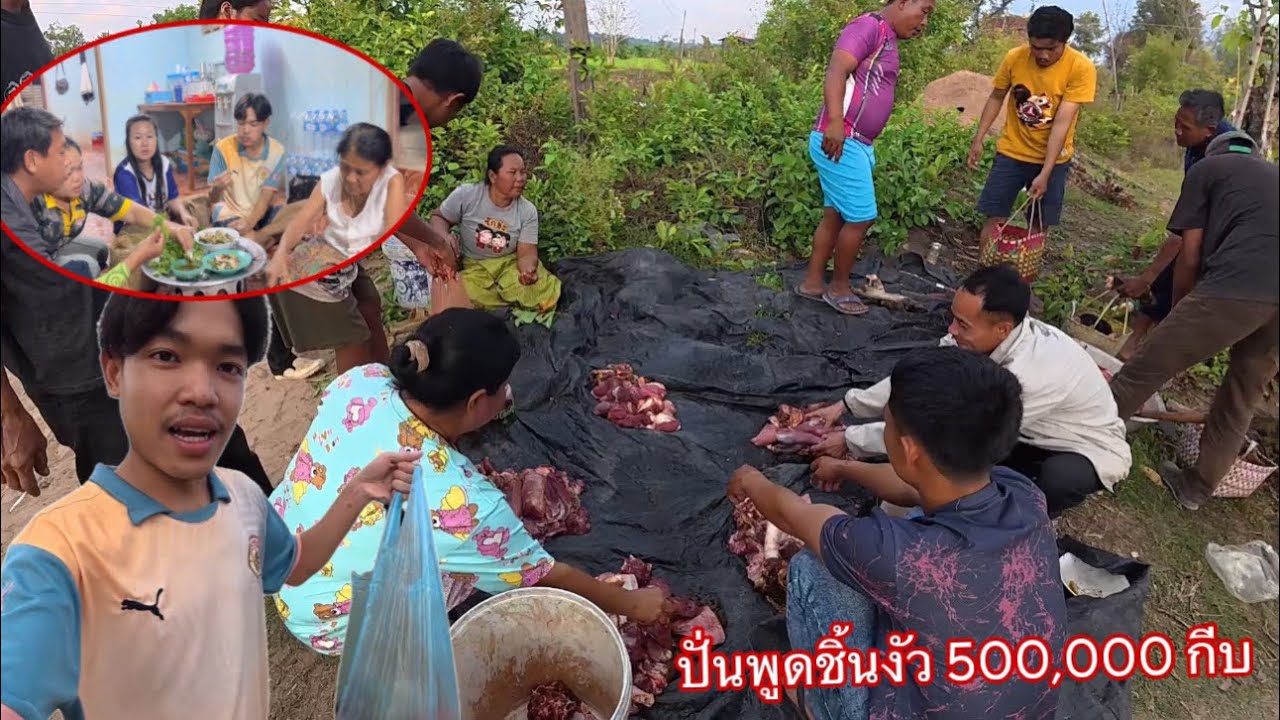 ปันพูดชิ้นยามบุญบ้านทางฝั่งลาวชิ้นงัวพูดล่ะ 500,000 กีบ🇱🇦 / ປັນພູດຊີ້ນງົວ 