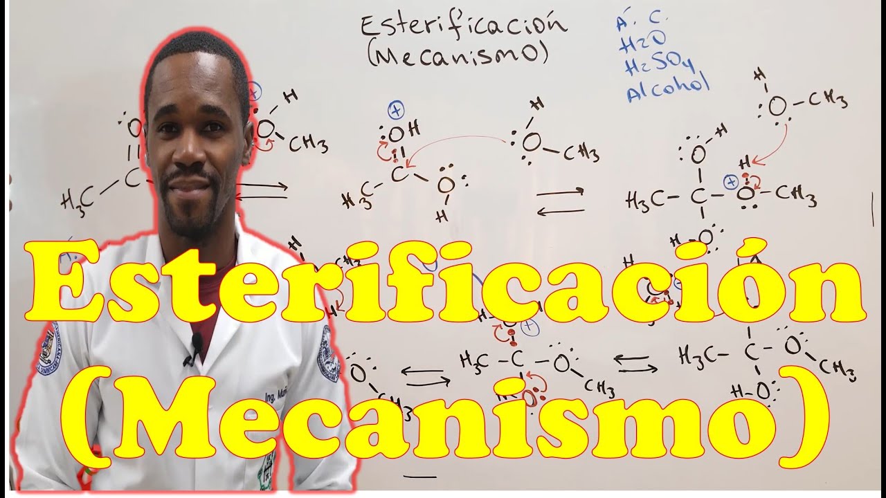 Esterificación de Fischer | Mecanismo de Reacción
