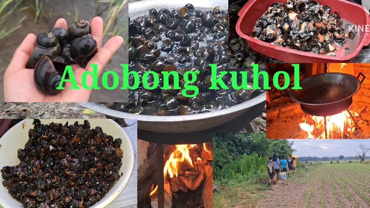 KUHOL -ADOBO