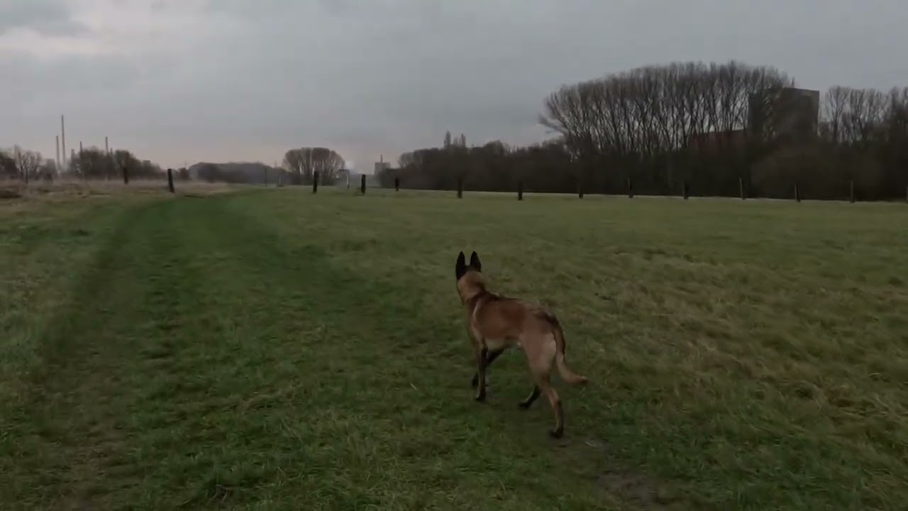 Blustery Afternoon Round in Beeckerwerth
