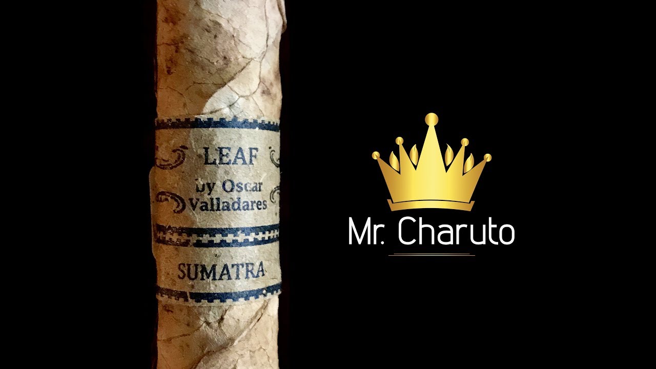 Mr. Charuto - Leaf by Oscar Sumatra em Toro
