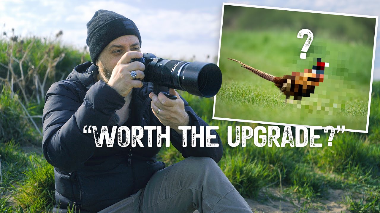 OM System 100–400mm IS II – A Real-World Review for Nature & Wildlife