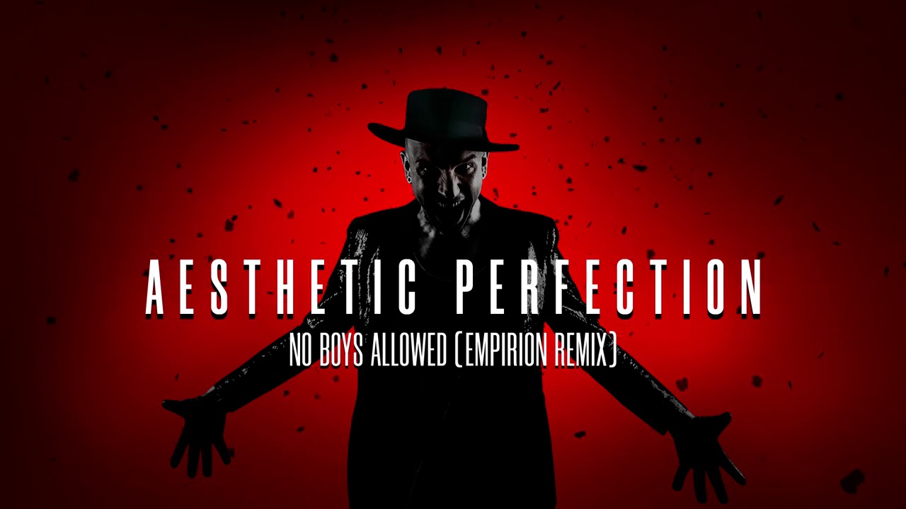 Aesthetic Perfection - No Boys Allowed (Empirion Remix)
