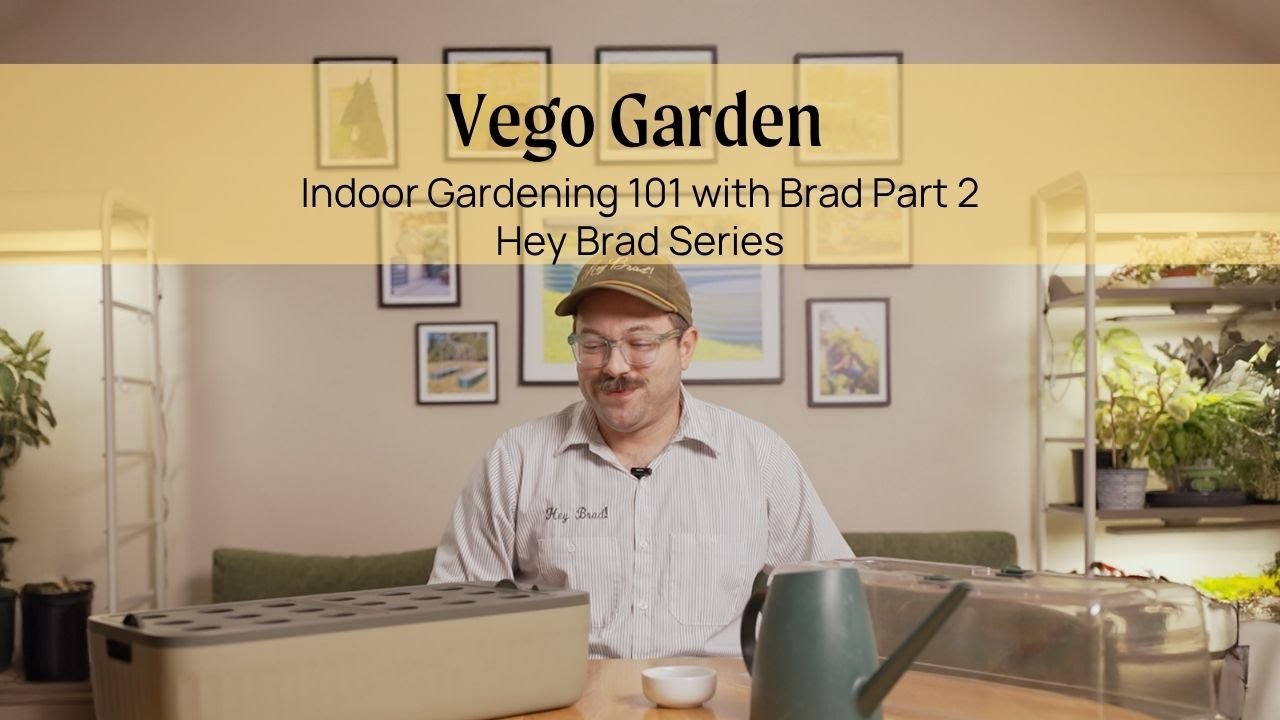 Основы домашнего садоводства с Брэдом — Часть 2 | Vego Garden
