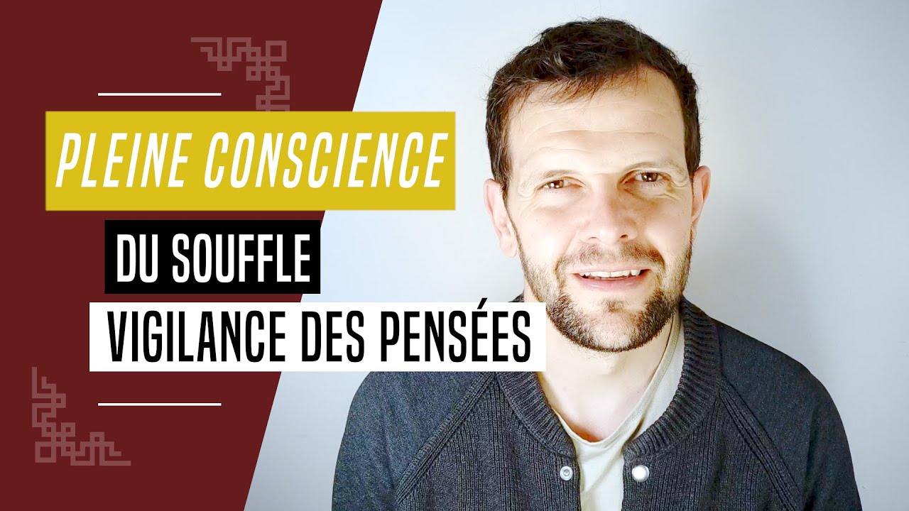 Méditation de pleine conscience sur le souffle et vigilance des pensées. 7/10 | 2023 #concentration