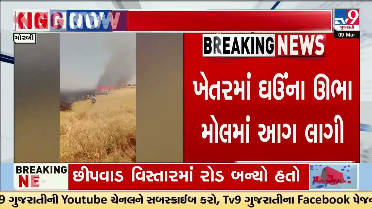 Fire Breaks Out in Wheat Field in Halvad&rsquo;s Vegadvaav Village | Gujarat | TV9Gujarati