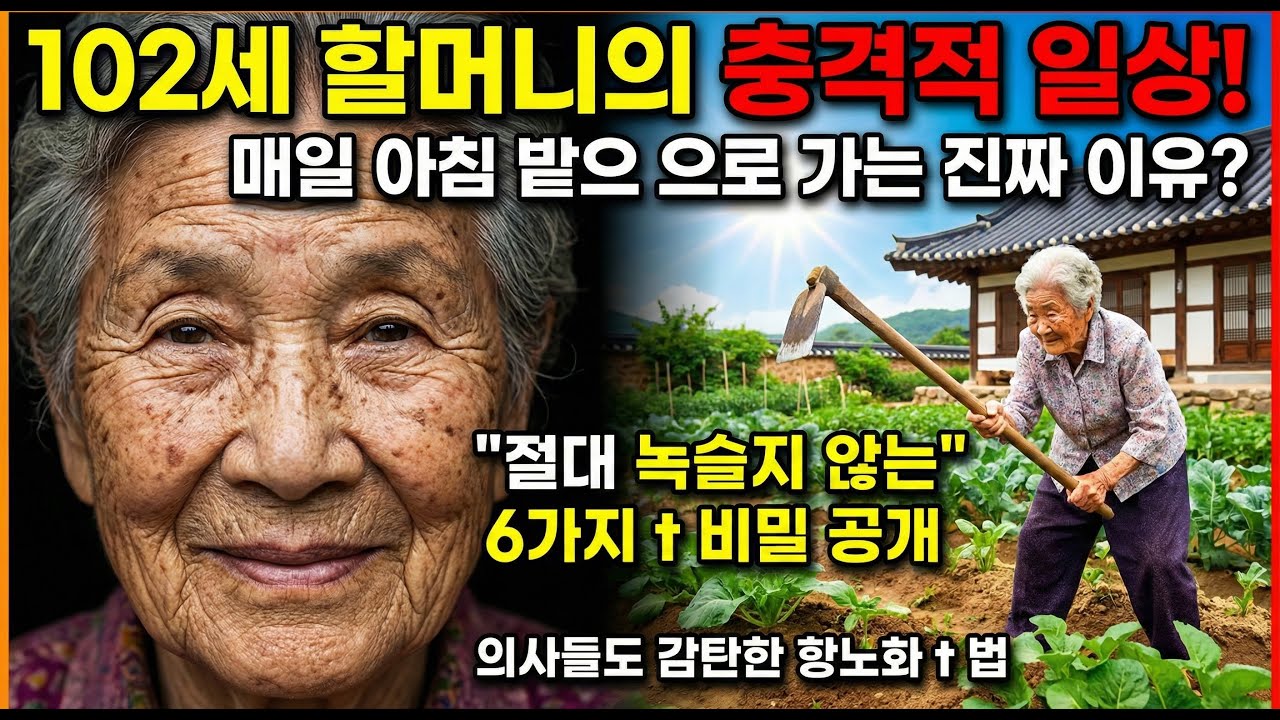 102세 일본 할머니의 충격적인 건강 비결! 돈 한 푼 안 들고 무병장수하는 6가지 방법