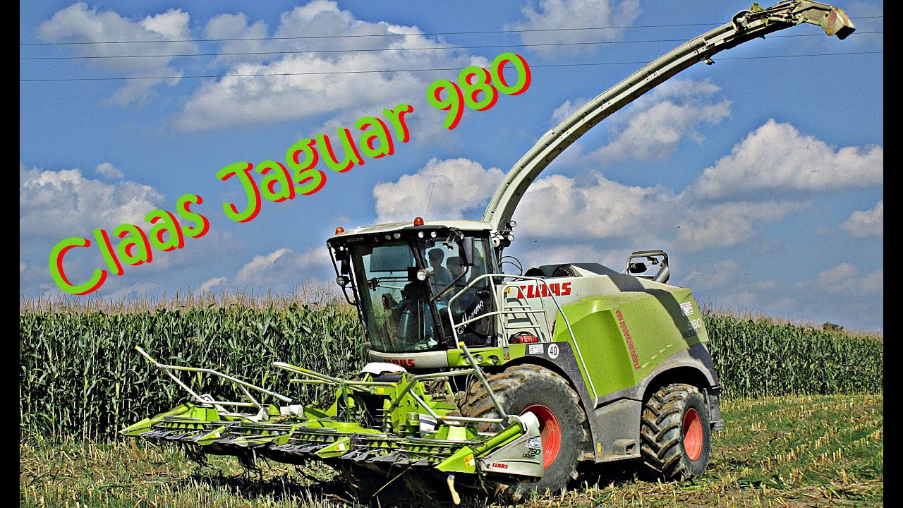 Trinciato mais 2014 - Rosina Silvio e F.lli & C. - Claas Jaguar 980