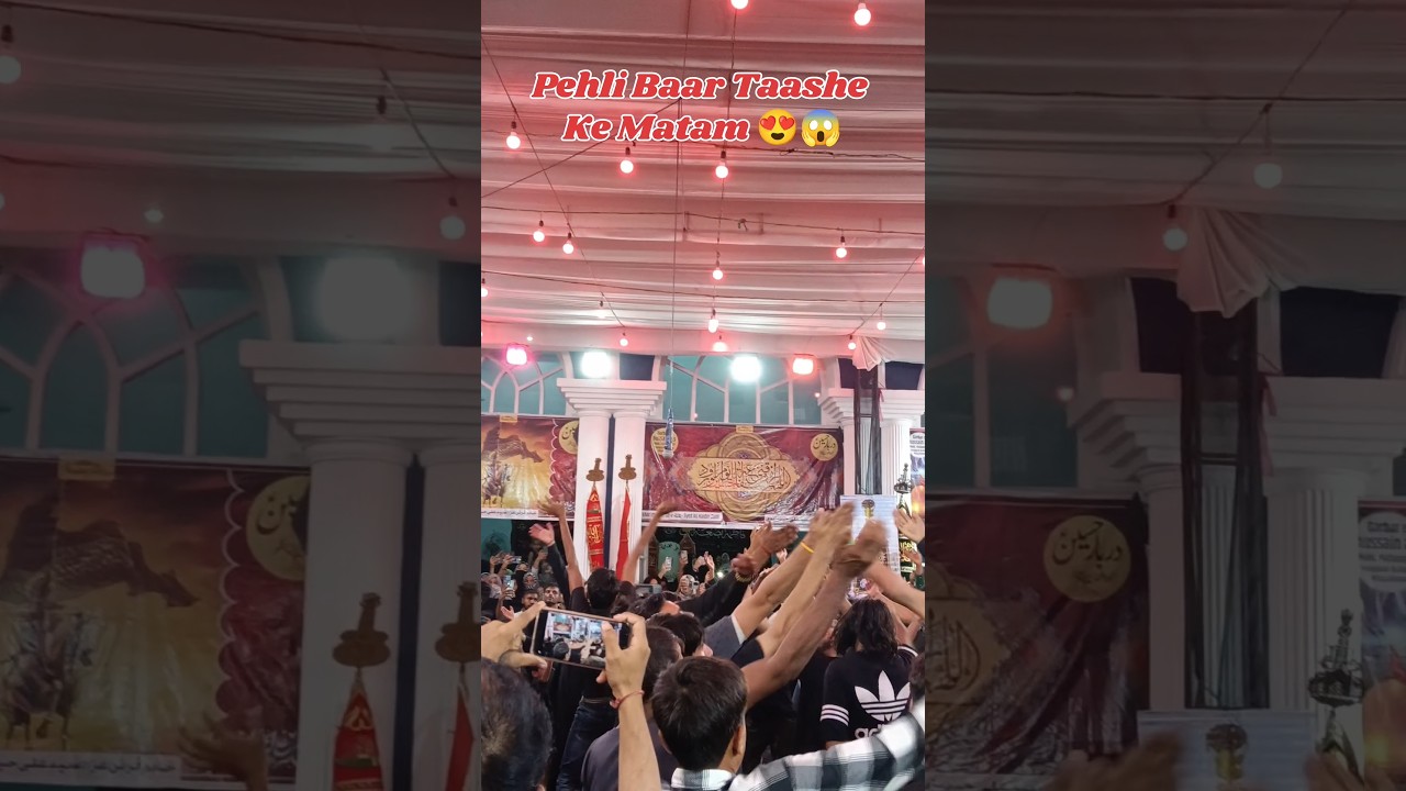 Taashe Pa Matam 😍😱 #azadarehussain #azadari #matamdari #yahussain #viralvideo #shortsfeed #