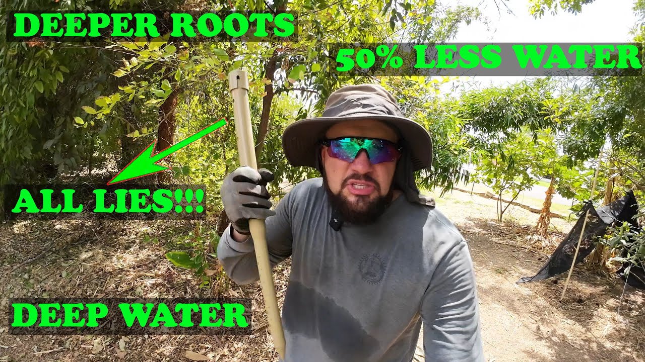 Gardening Myths: Watering Stakes