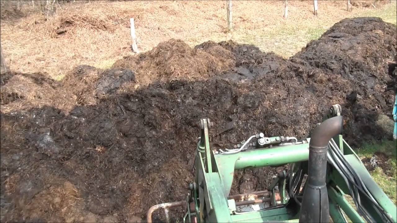 Mist fahren mit Fendt favorit 510 C und Deutz D8006