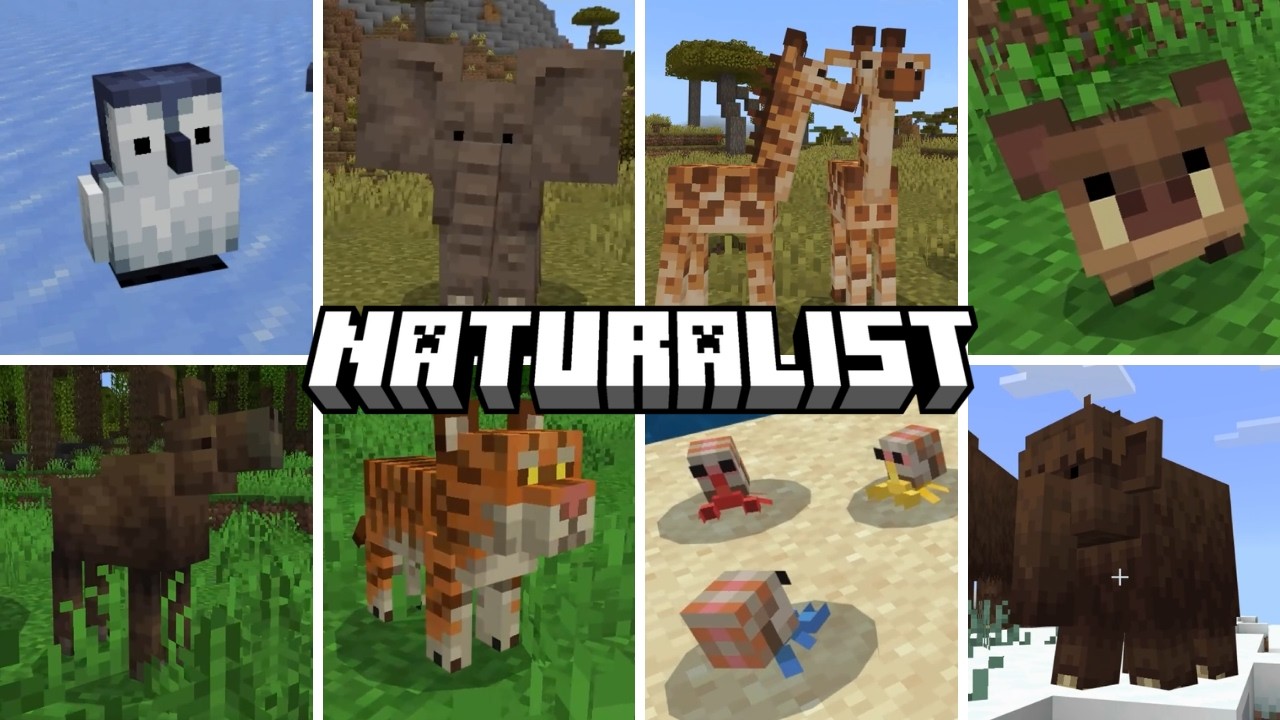 Naturalist 26.1 - All Baby Mobs | Minecraft Bedrock Add-on (PC, PS4, Mobile)