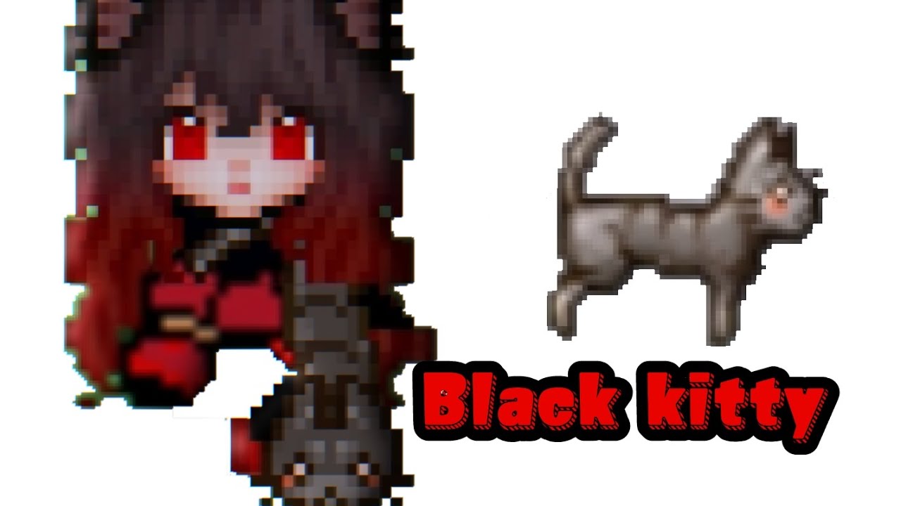 Graal era black cat 