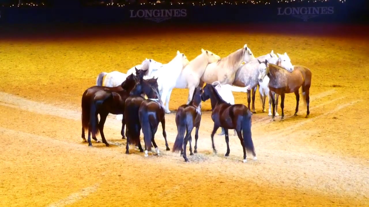 Jean-François Pignon.  Olympia Horse Show 2019