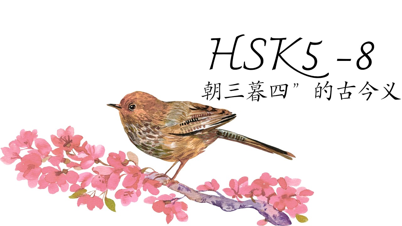 (2.0) HSK5-8: 朝三暮四”的古今义/Thành ngữ “Sáng ba chiều bốn/ GT tiêu chuẩn HSK5