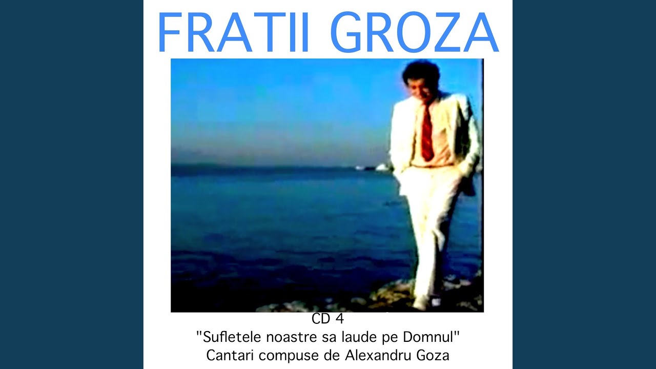 Ce Am Facut Cu Talantul
