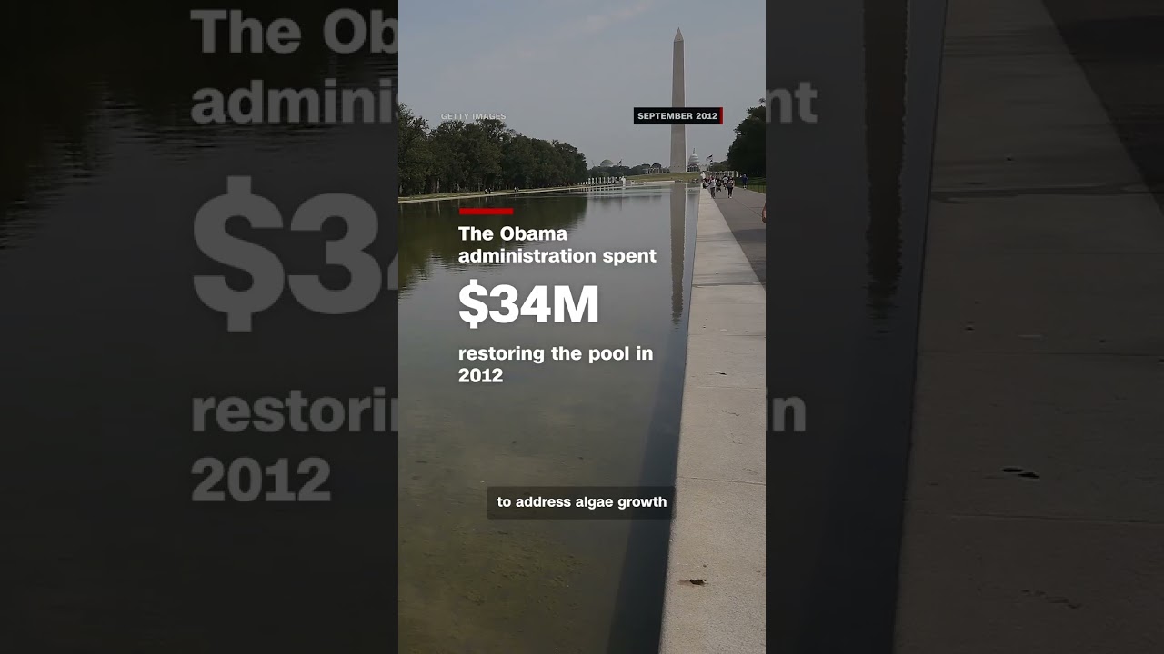 Why the Reflecting Pool in Washington DC looks green