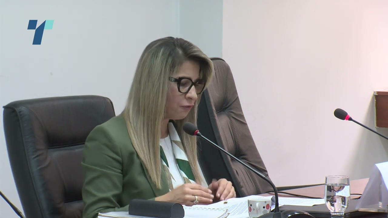 Кавга и меѓусебни обвинувања на Дамева и Нанев на седницата на Судски совет