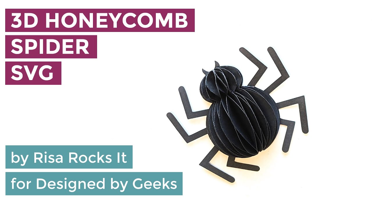 So Cute it's Scary 3D Honeycomb Spider!