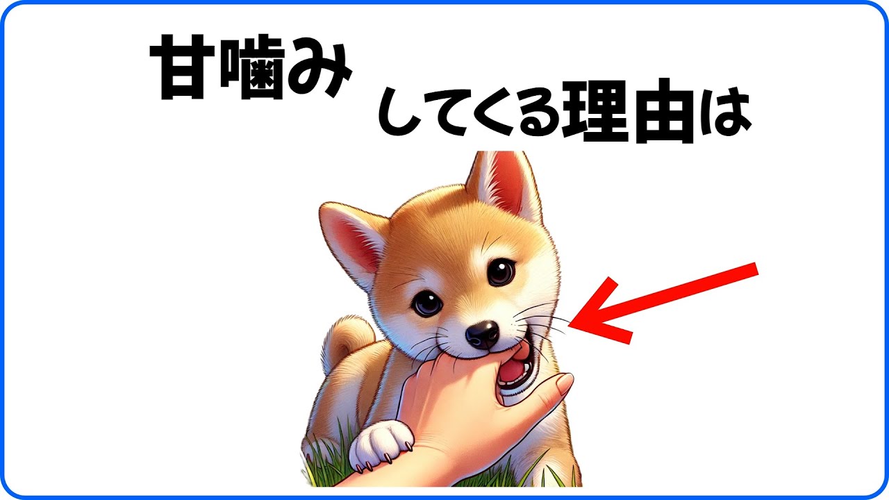 【仕草でわかる】犬の心理　９割の人は知らない雑学