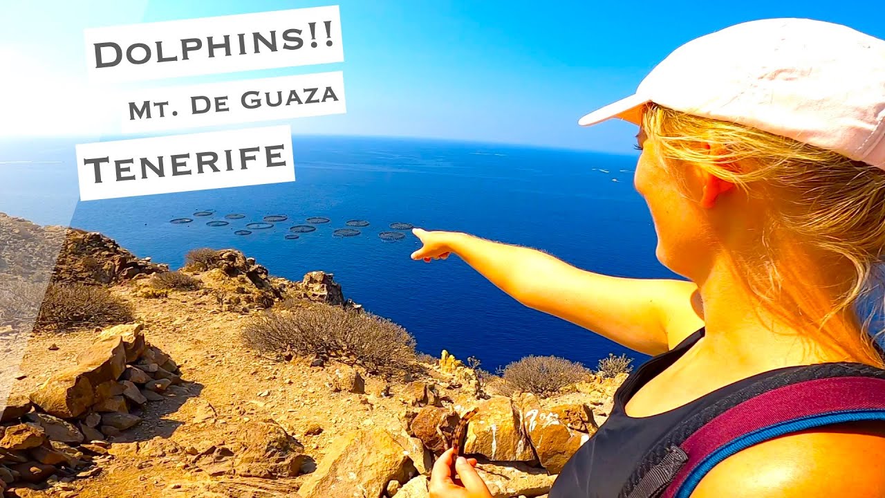 Dolphin spotting from Mt. de Guaza, Teneriffe