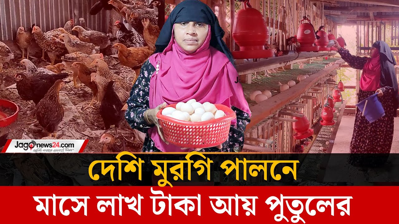 দেশি মুরগি পালনে মাসে লাখ টাকা আয় পুতুলের | Shariatpur | Desi Poultry Farm | Jago News