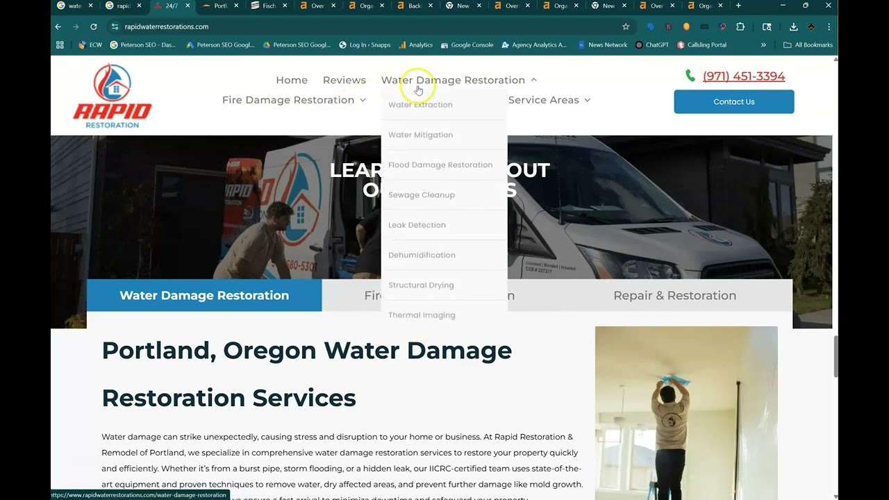 Rapid Restoration Online Audit | Peterson SEO