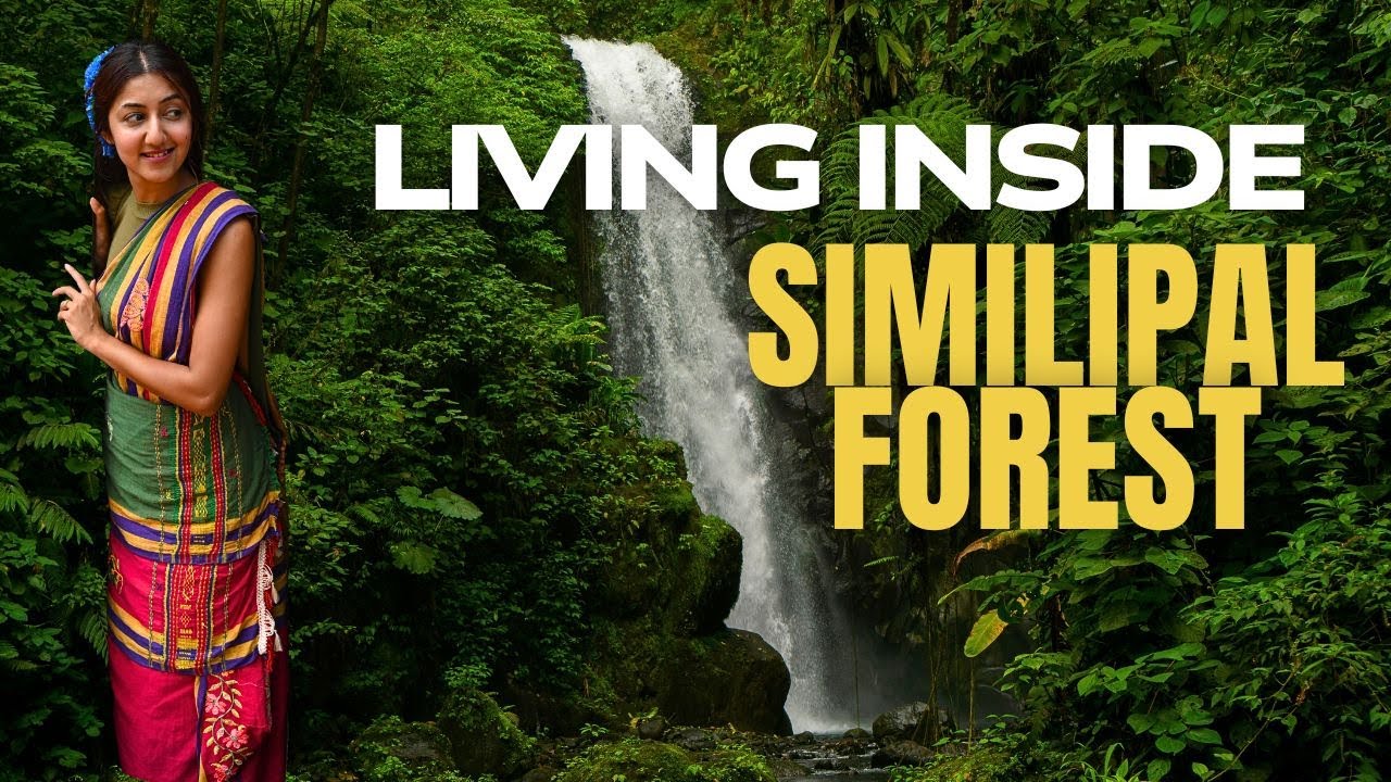 Secret Side of Odisha: Similipal Jungle & Tribal Life Experience | Talkin Travel