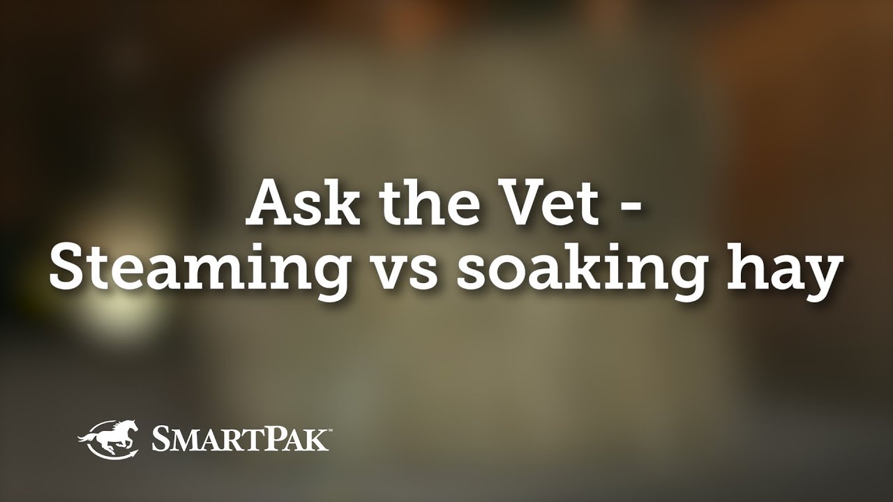 Ask the Vet - Steaming vs soaking hay