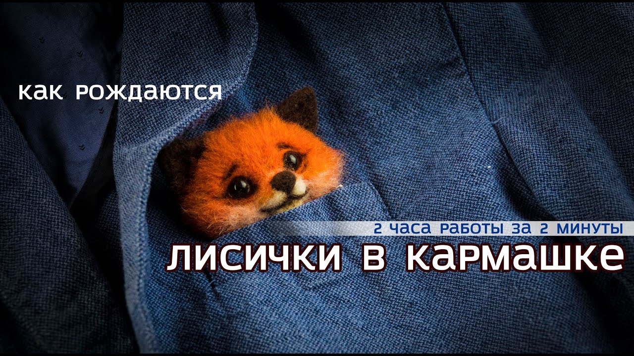 Как рождаются карманные лисички👌🧡😳