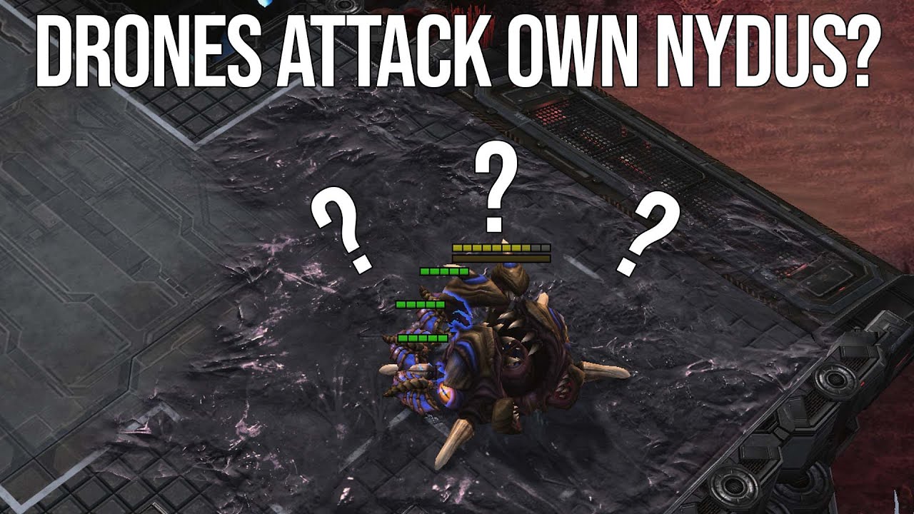 Action Packed Zerg vs Zerg | Rogue (Z) vs Elazer (Z)
